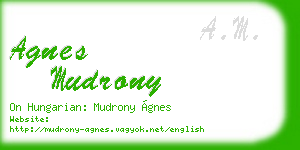 agnes mudrony business card